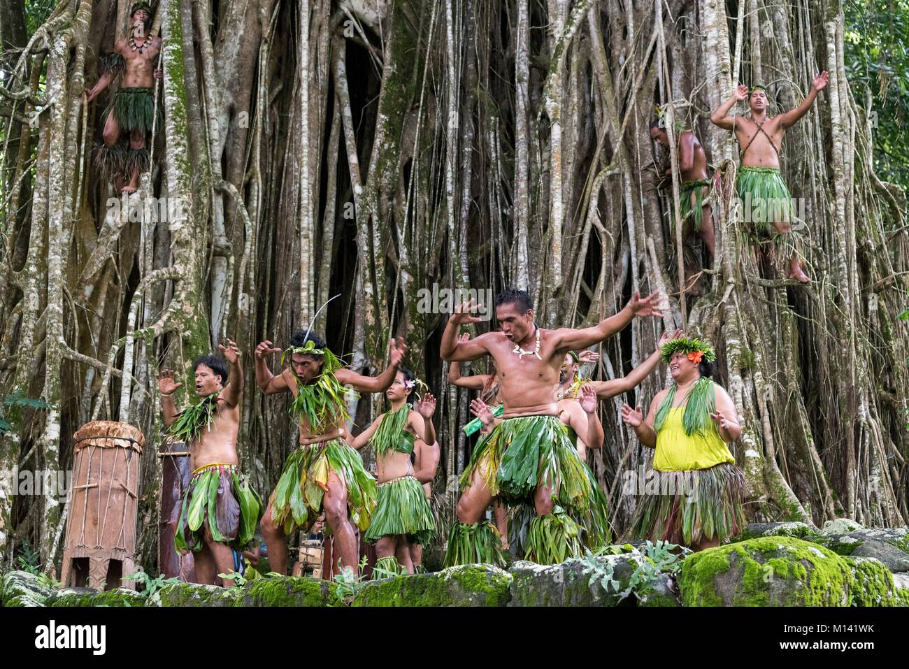 Frankreich, Französisch Polynesien, Marquesas Archipel, Nuku Hiva Insel, Hatiheu Tohua Kamuihei, archäologische Stätte, Marquesanische Tanz am Fuße des Banyan Tree (Ficus benghalensis) Stockfoto