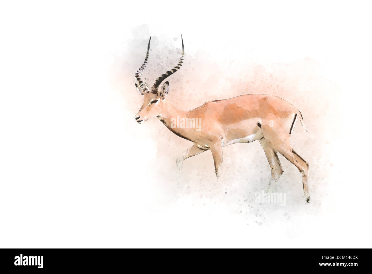 Digital verbesserte Bild einer Seitenansicht eines männliche Impala (Aepyceros melampus). In Afrika, Tansania fotografiert, Lake Manyara National Park, Stockfoto