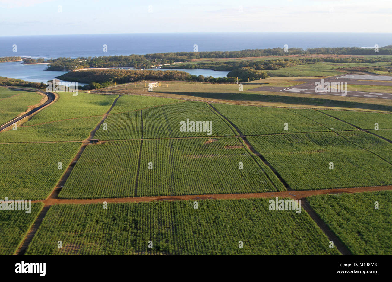 Luftaufnahme von landwirtschaftlichen Flächen an der Küste aus einem Hubschrauber, der Republik Mauritius. Stockfoto