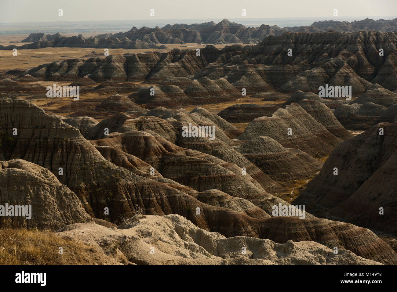 Nachmittag, die conata Basin, die Badlands, South Dakota, USA. Stockfoto