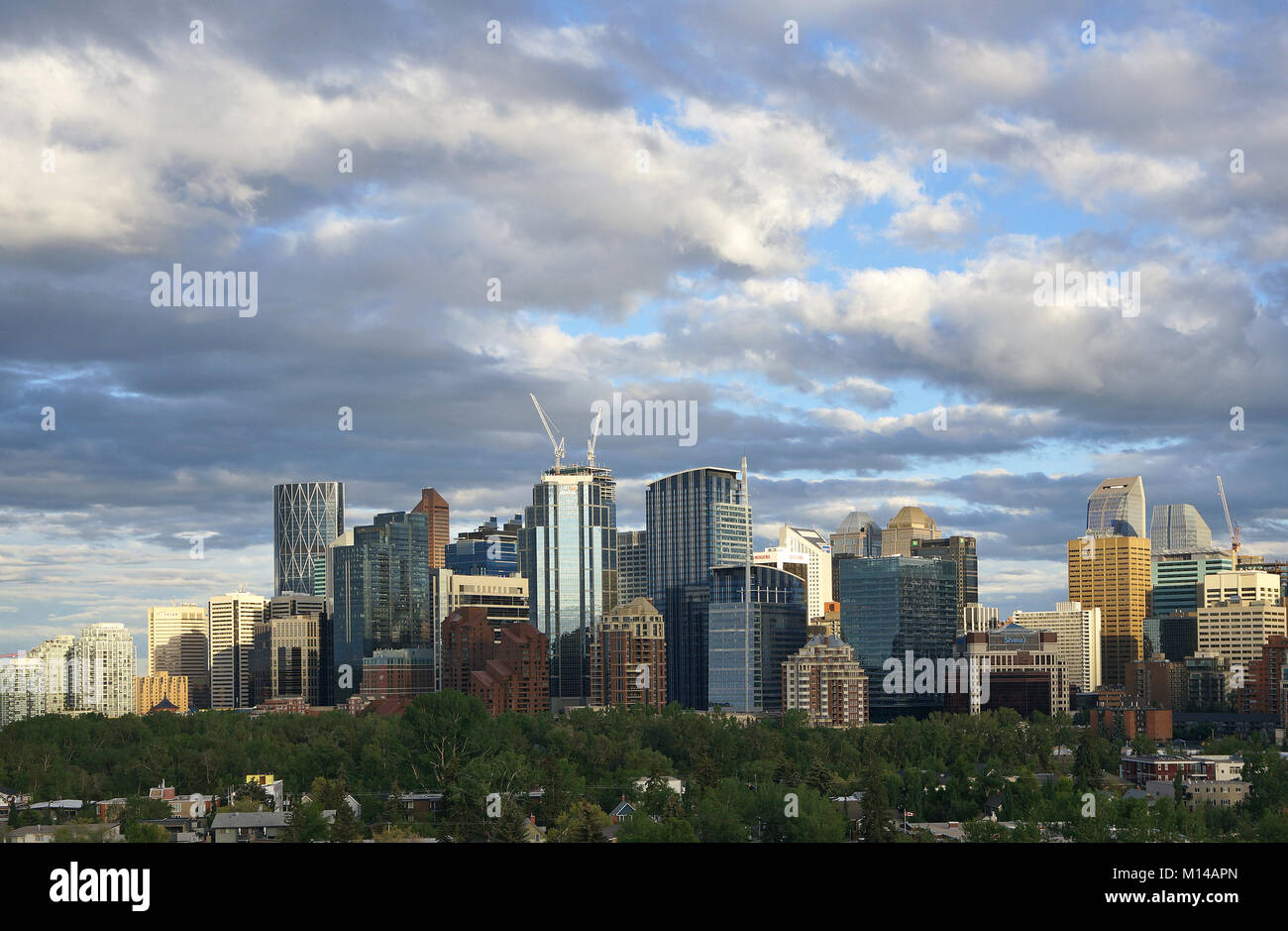 Blick auf Downtown Calgary von Der innercity Gemeinschaft Sunnyside. Stockfoto