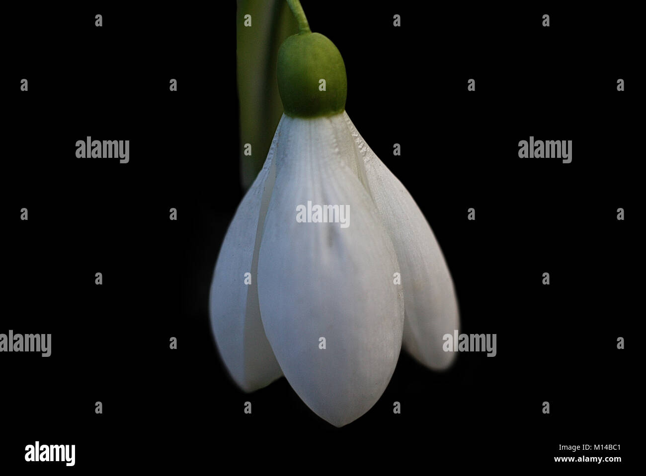 Bräute Ankleidezimmer Stockfoto