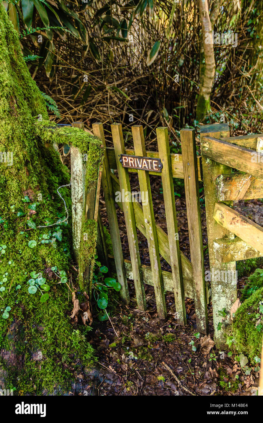 Holztor mit 'Private' Zeichen in Wäldern, in der Nähe von Bovey Tracey, Devon, Großbritannien. Januar 2018. Stockfoto