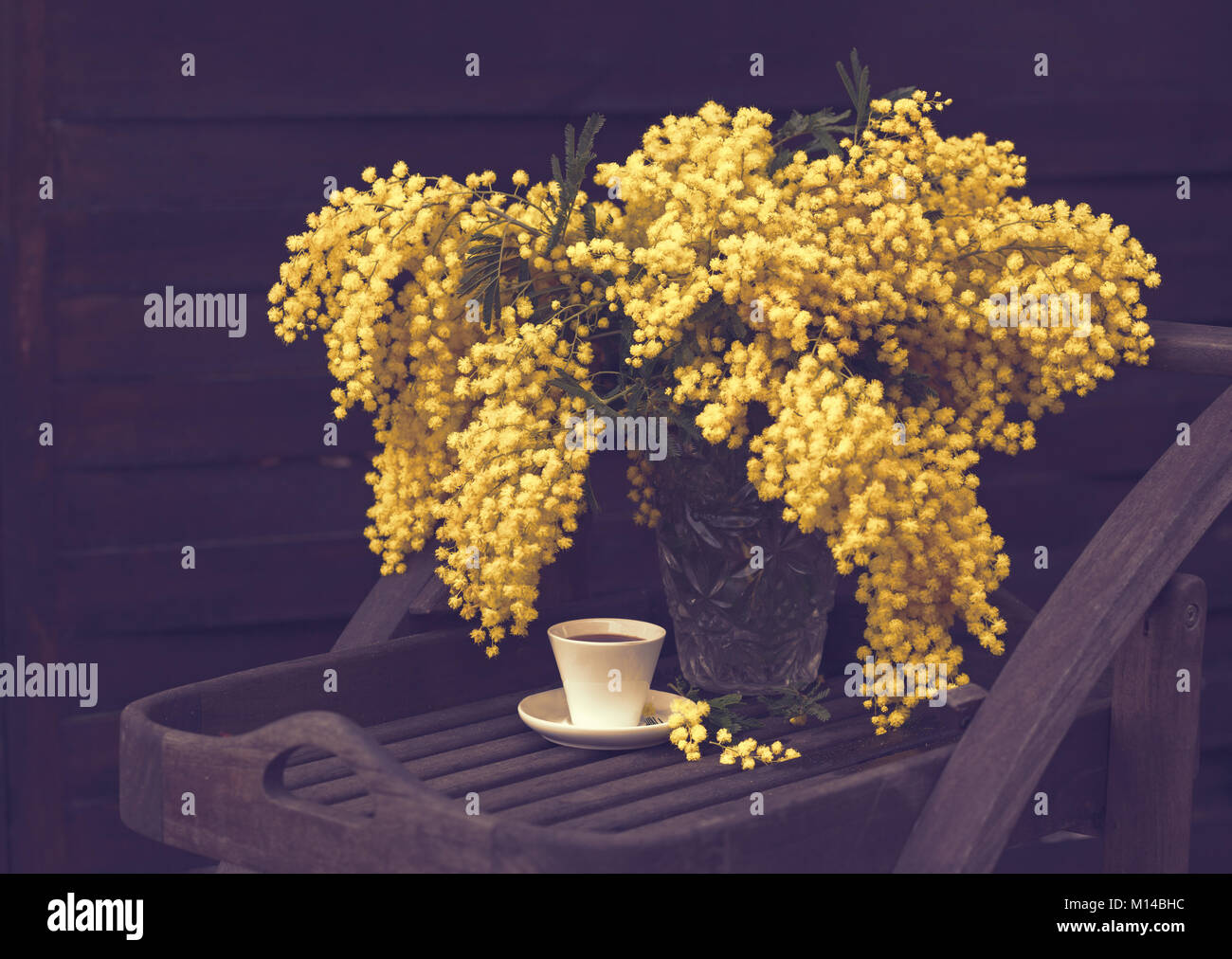 Ein Bukett von gelben Frühlingsblumen (Mimose) und Tasse Kaffee auf dem Hintergrund der alten hölzernen Wand. Getonten Bild Stockfoto