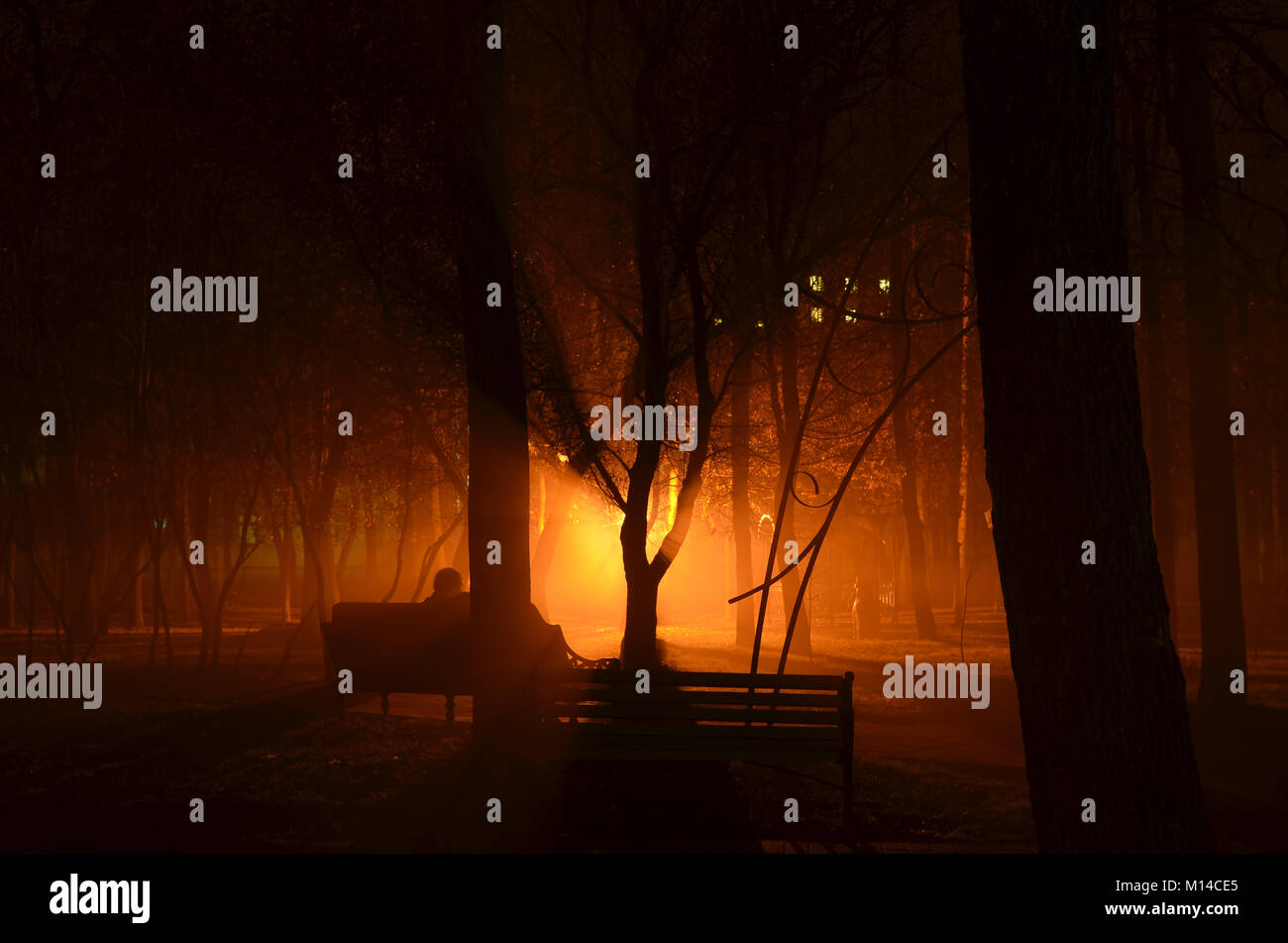 Menschen in Liebe, die auf einer Bank sitzen, während ein romantisches orange Licht durch Nebel fliegen. Stockfoto