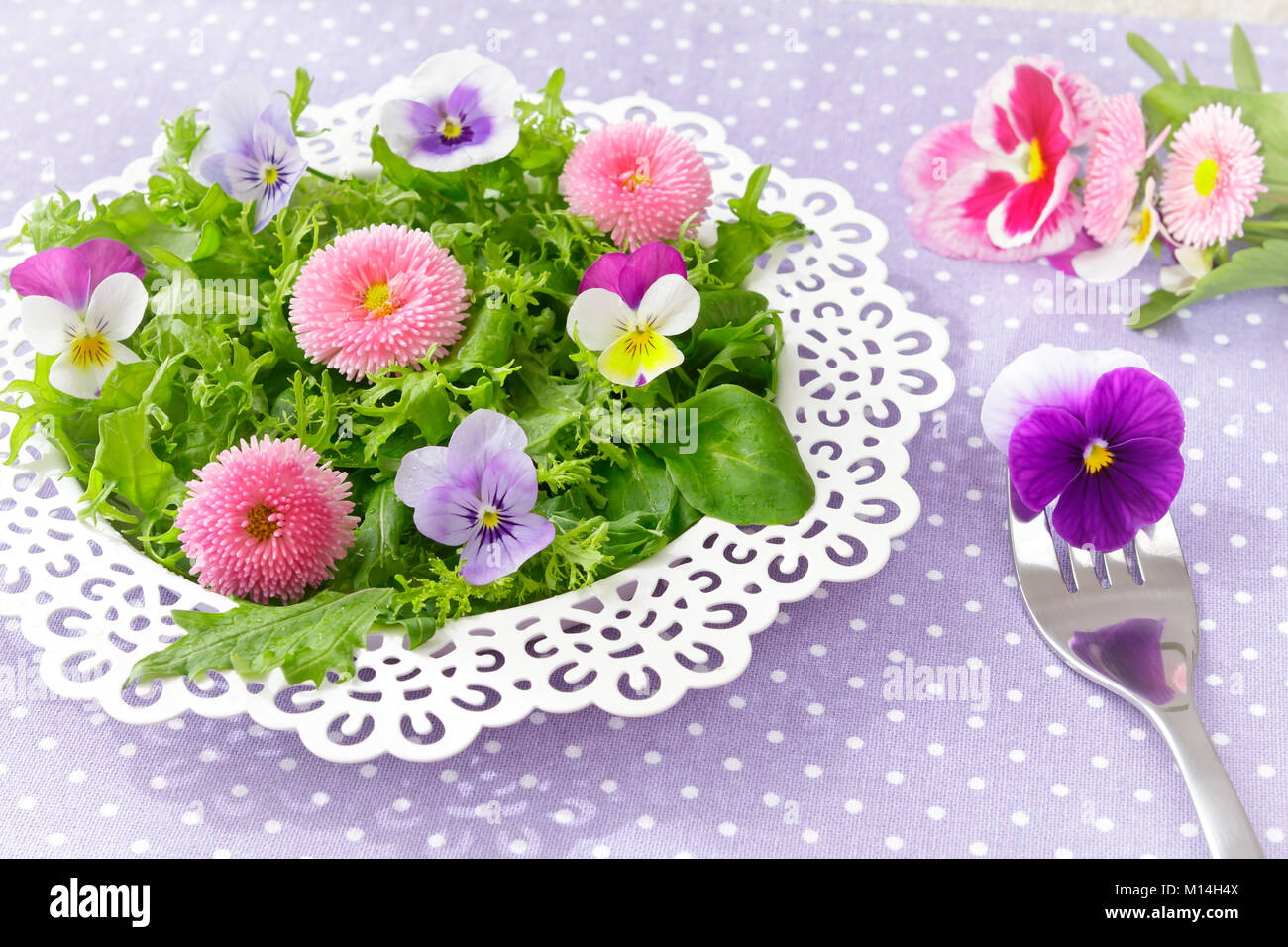 Weiße Platte mit einem Salat von Gemischte grüne Salatblätter und genießbare Gänseblümchen und Stiefmütterchen Blumen, zusammen mit einer alten Gabel auf eine nostalgische Lila backgroun Stockfoto