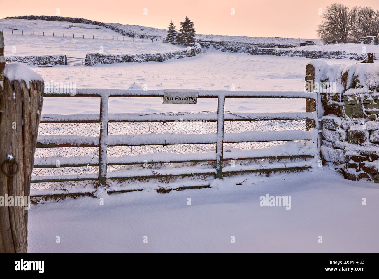 Die verschneite Ackerland tor Felder ohne Parkplatz Ankündigung Moor. Nidderdale Stockfoto