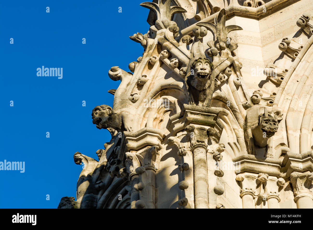 Paris, Frankreich: Gargoyle Statuen auf die Mauern der Kathedrale Notre Dame in Paris. Stockfoto