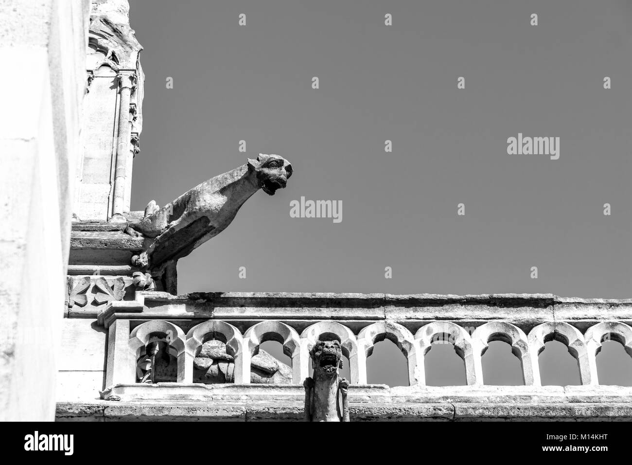 Paris, Frankreich: Schwarz-Weiß-Ansicht einer gargoyle Statue (Wasser Drache) an den Wänden der Notre Dame Kathedrale. Stockfoto