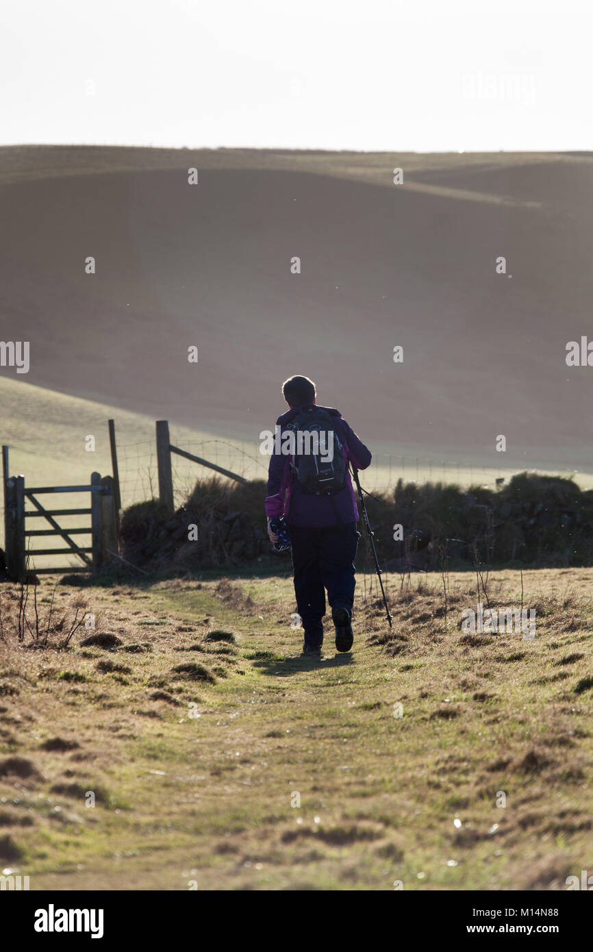 Die Wales Coast Path. Eine weibliche Wanderer auf dem Wales Coast Path Route, zwischen den Dörfern Llanon und Aberarth. Stockfoto