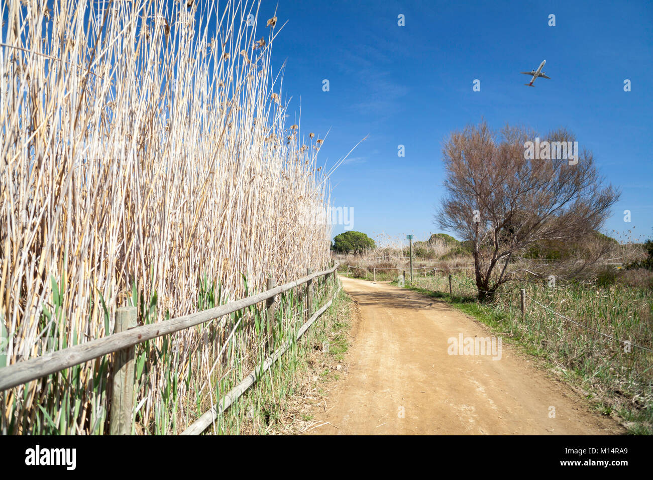 Natural area Delta Llobregat Fluß, in der Nähe vom Flughafen El Prat-Barcelona, geschützten Raum, Vogelbeobachtung Zone. Viladecans, Katalonien, Spanien. Stockfoto