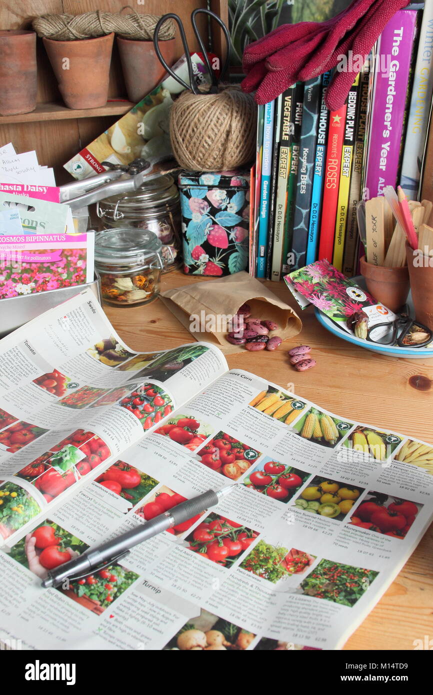 Organisation Saatgutpackungen und Bestellung von Samen aus einem Katalog für die Neue pflanzsaison, in einem Englischen Garten Zimmer im Winter (Januar), UK Stockfoto