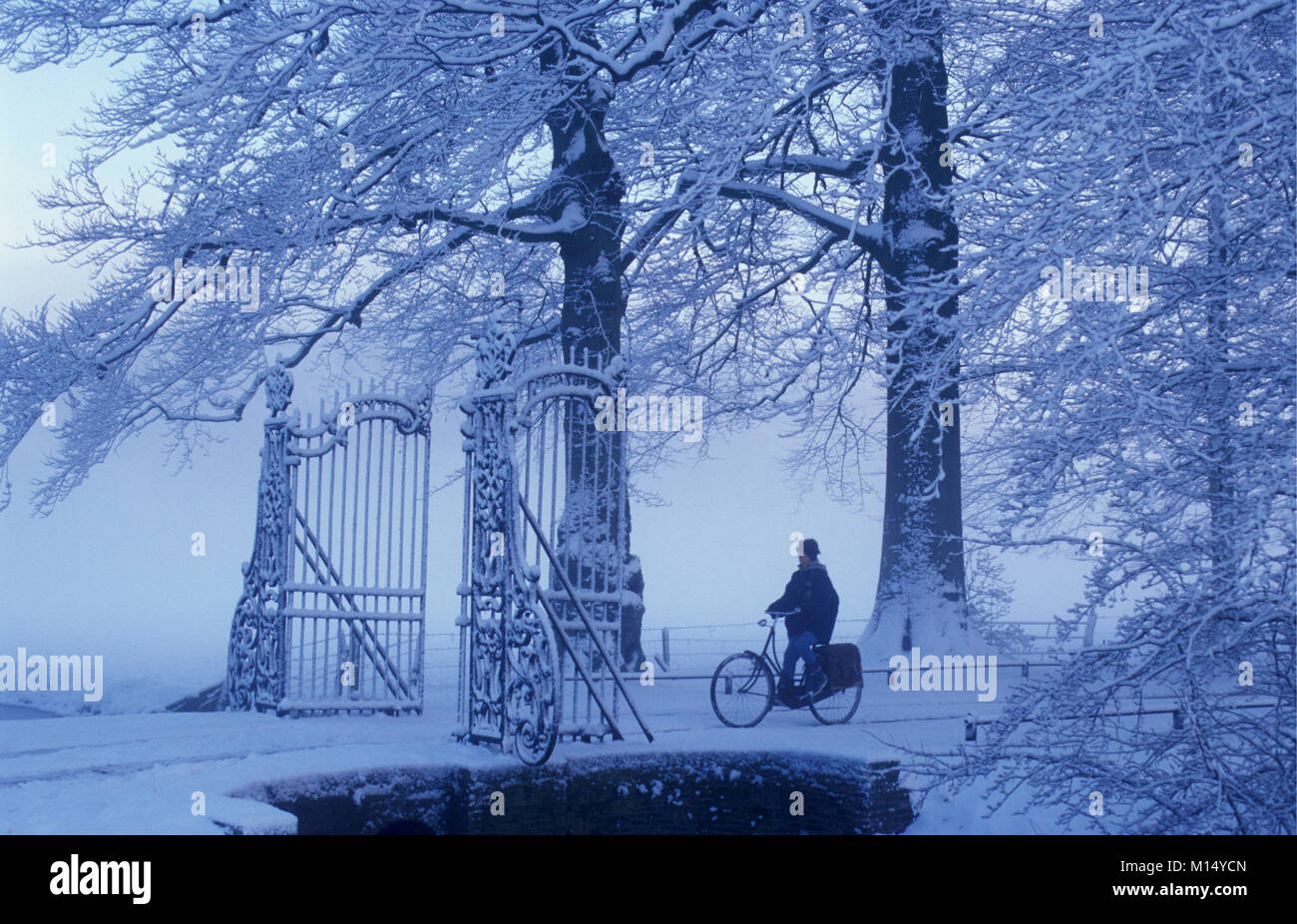 Die Niederlande. 'S-graveland. Winter. Schnee. Ländliche Immobilien Gooilust. Radfahrer. Stockfoto