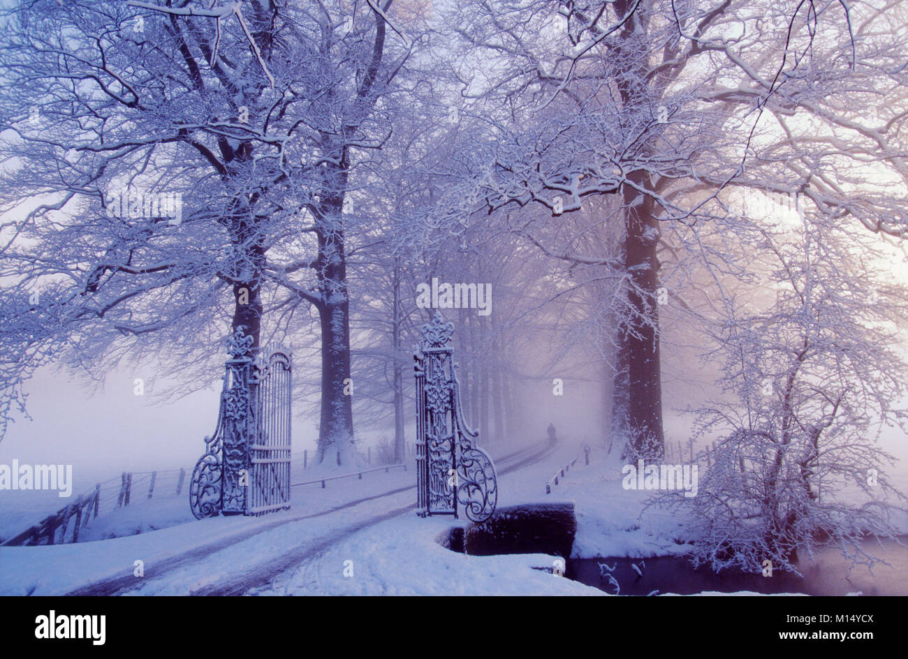 Die Niederlande. 'S-graveland. Winter. Schnee. Ländliche Immobilien Gooilust. Stockfoto