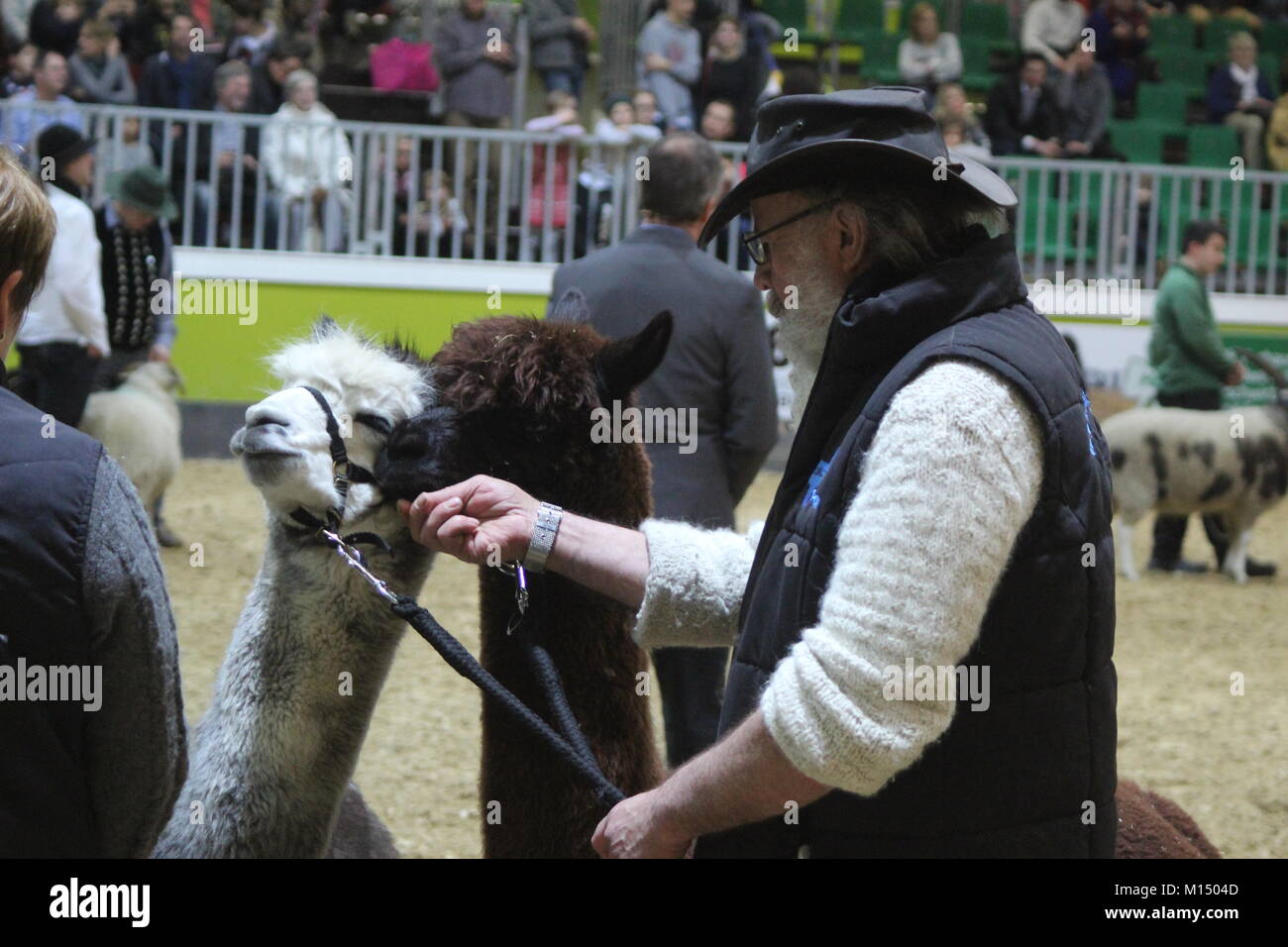 IGW - Internationale "Grüne Woche" 2018 (IGW-Grüne Woche 2018 Stockfoto