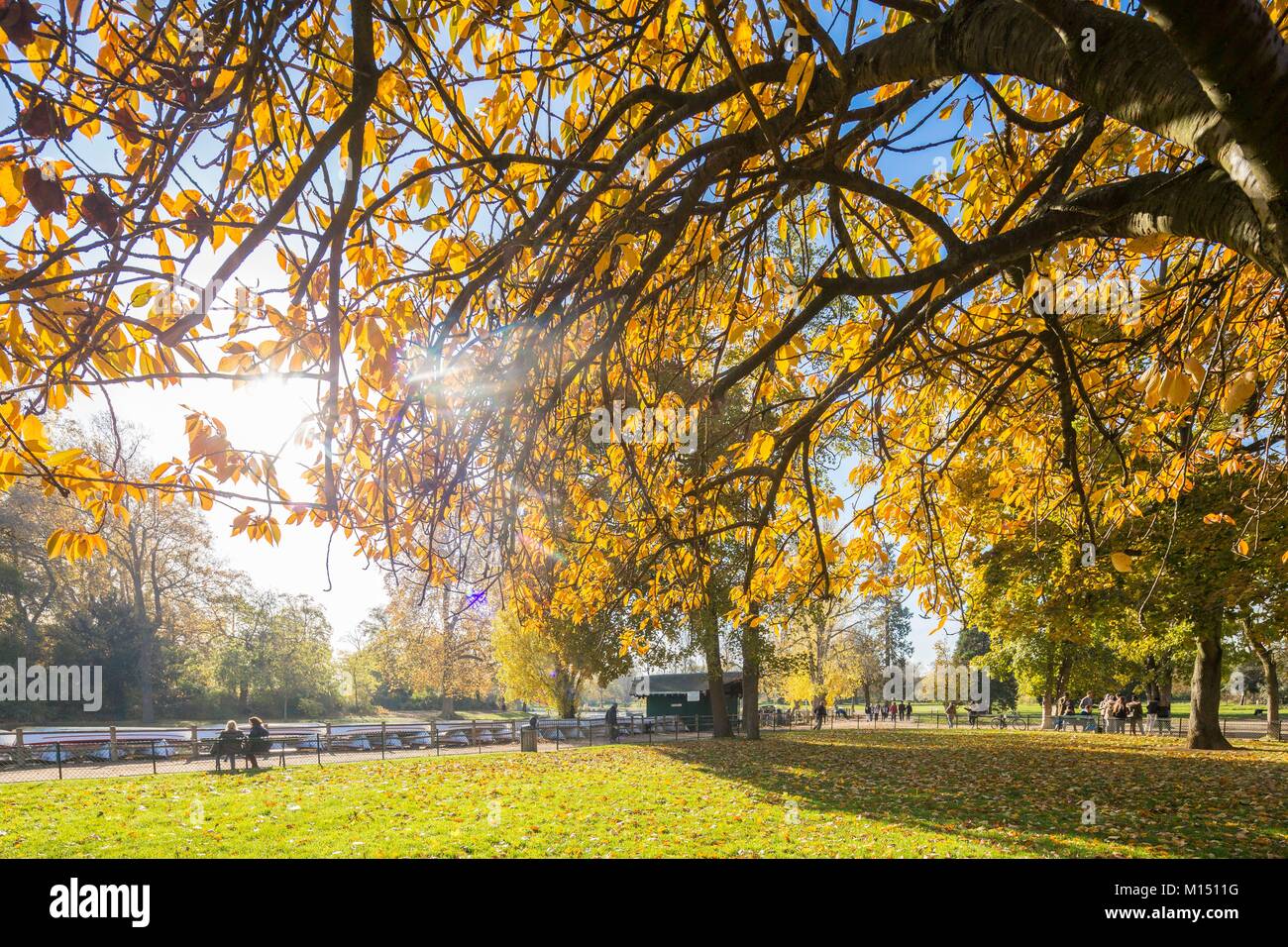 Frankreich, Paris, Bois de Vincennes im Herbst Stockfoto