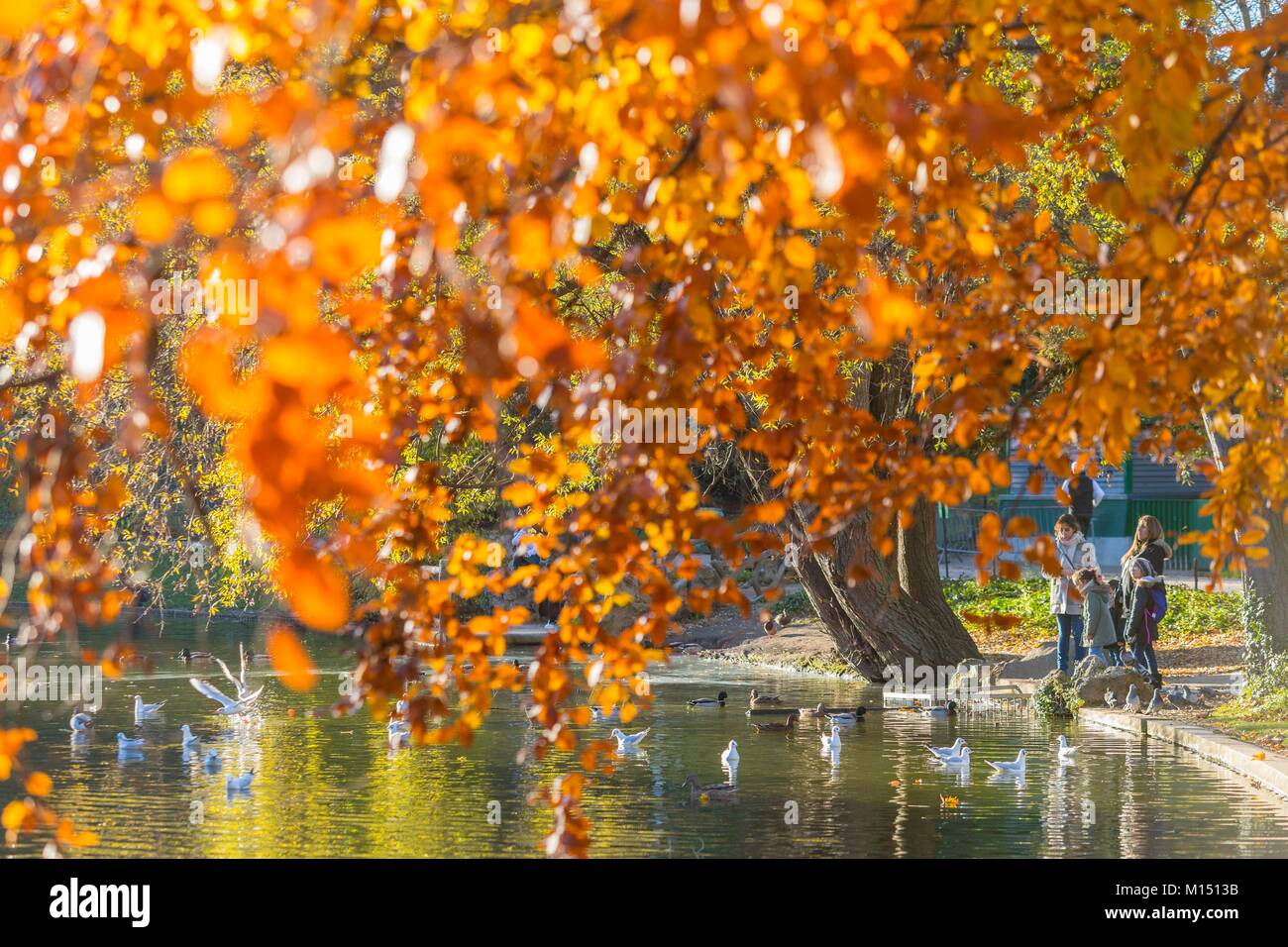 Frankreich, Paris, dem Parc des Buttes Chaumont im Herbst Stockfoto