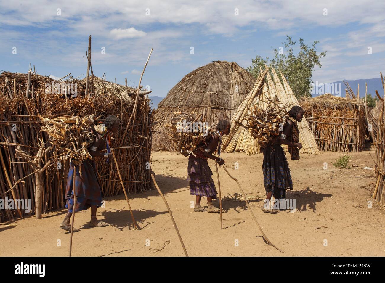 Äthiopien, untere Omo Valley UNESCO Weltkulturerbe, Erbore Stamm, die Hütten Erbore sind aus Papyrus, Frauen wieder Bundles aus Holz Stockfoto