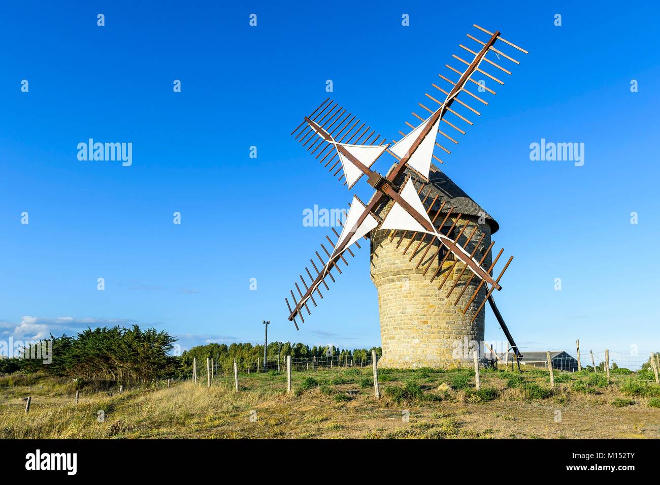 Frankreich, Loire-Atlantique, Guérande Halbinsel, Batz sur Mer, Granit Falaise Mühle aus dem 16. Jahrhundert Stockfoto