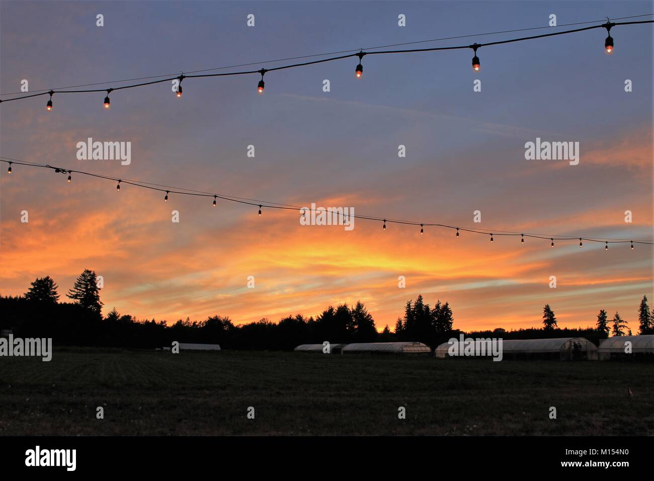 Lichterkette gegen einen Sonnenuntergang Hintergrund der Bauernhof mit Gewächshäusern im Hintergrund Stockfoto