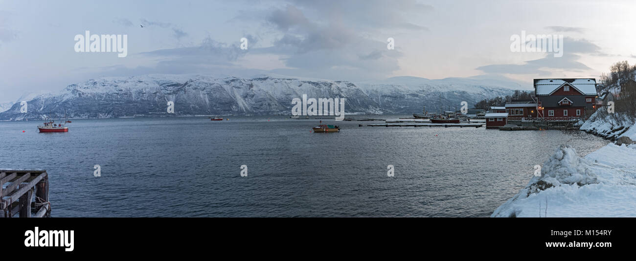 Blick auf den Hafen von Lyngseidet in Troms County, Norwegen Stockfoto