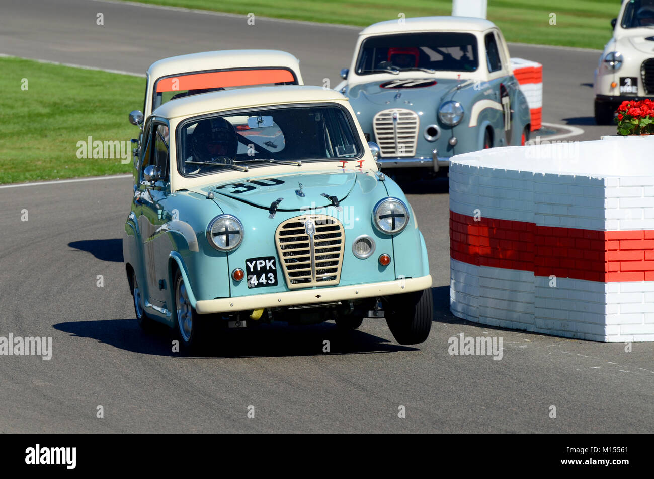 1956 Austin A 30 von Nick Foster von Rob Collard racing in der St Mary Trophäe am Goodwood Revival angetrieben im Besitz Stockfoto