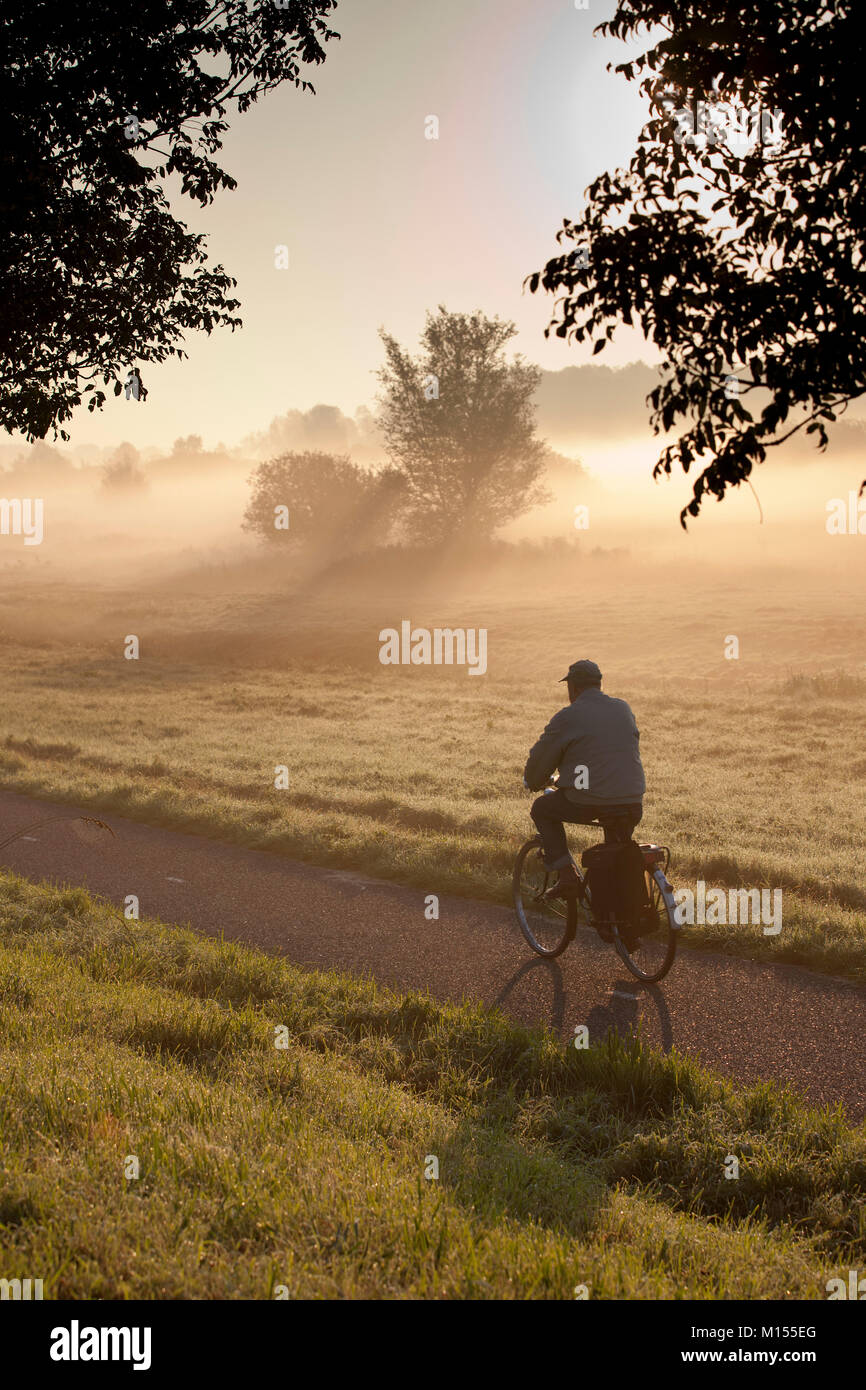 Die Niederlande, Tienhoven, Polder. Man Radfahren im Morgennebel. Stockfoto