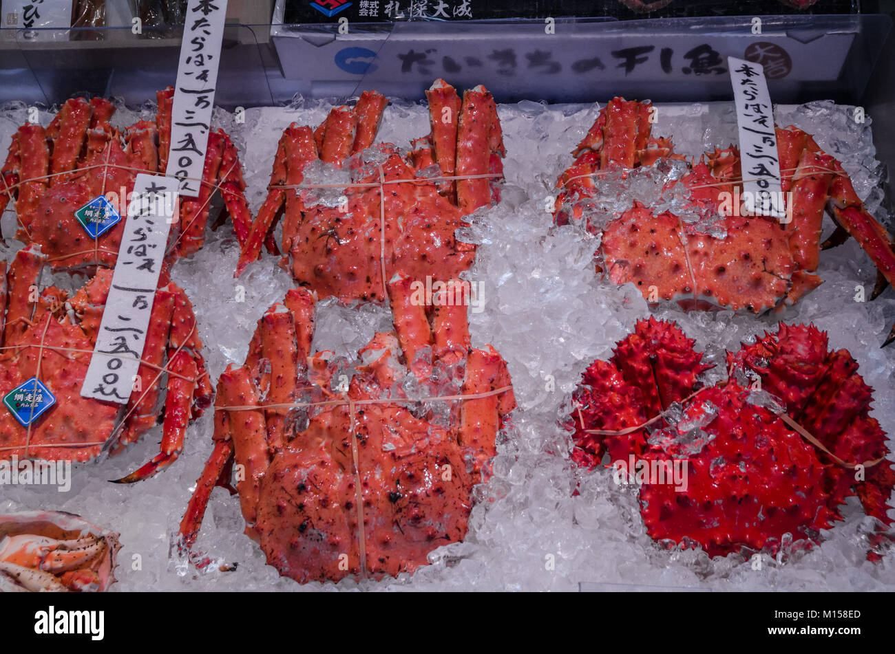 Riesige Konigskrabbe Stockfotos Und Bilder Kaufen Alamy