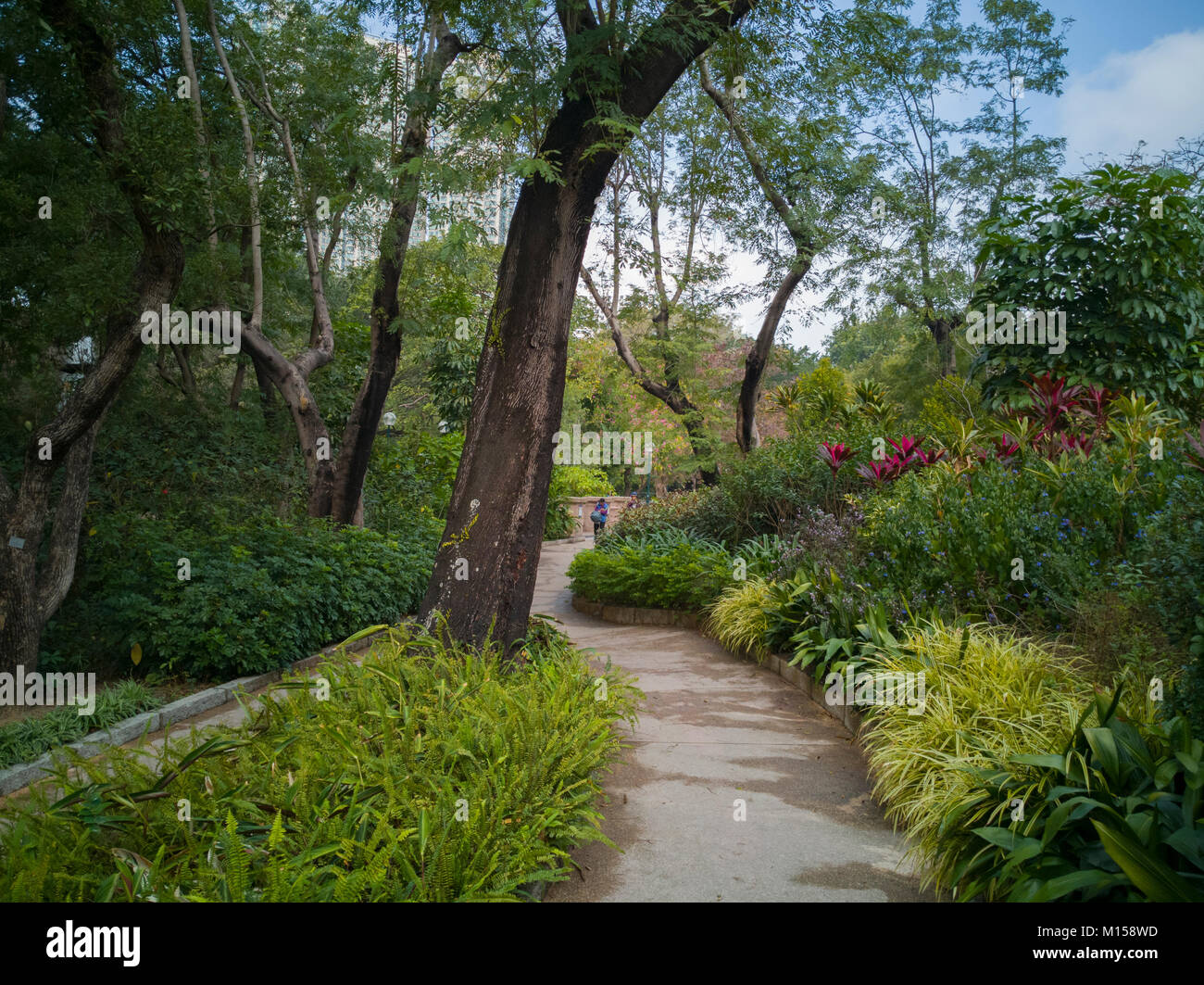 Wanderweg durch die malerische Kowloon Park, Hong Kong Stockfoto