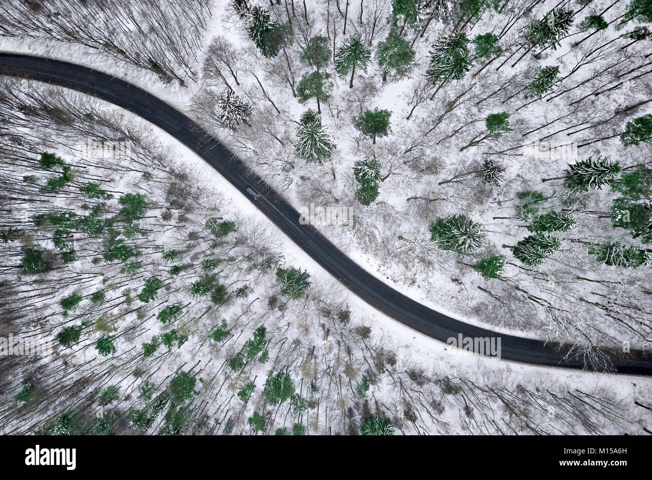 Luftaufnahme von winter Straße im verschneiten Wald. Drohne erfasst Schuß von oben. Stockfoto