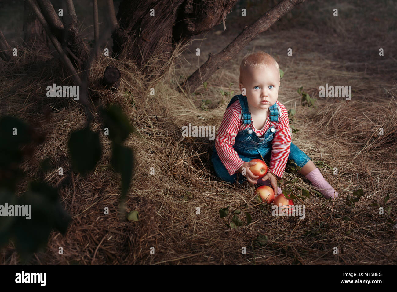 Kleines Mädchen mit Äpfeln sitzen unter einem Baum. Stockfoto