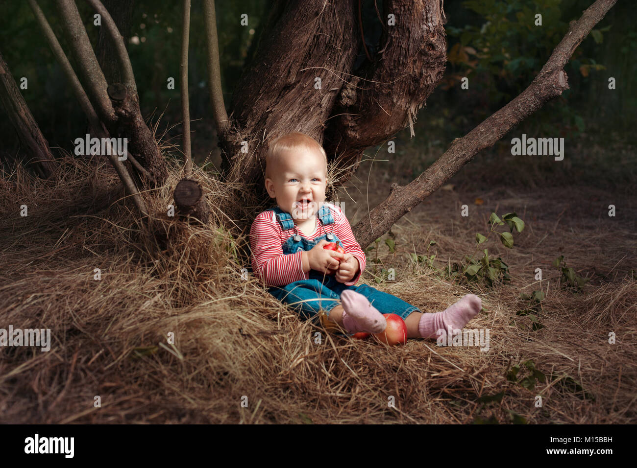 Kleines Mädchen mit Äpfeln sitzt unter einem Baum. Sie ist Lachen Stockfoto