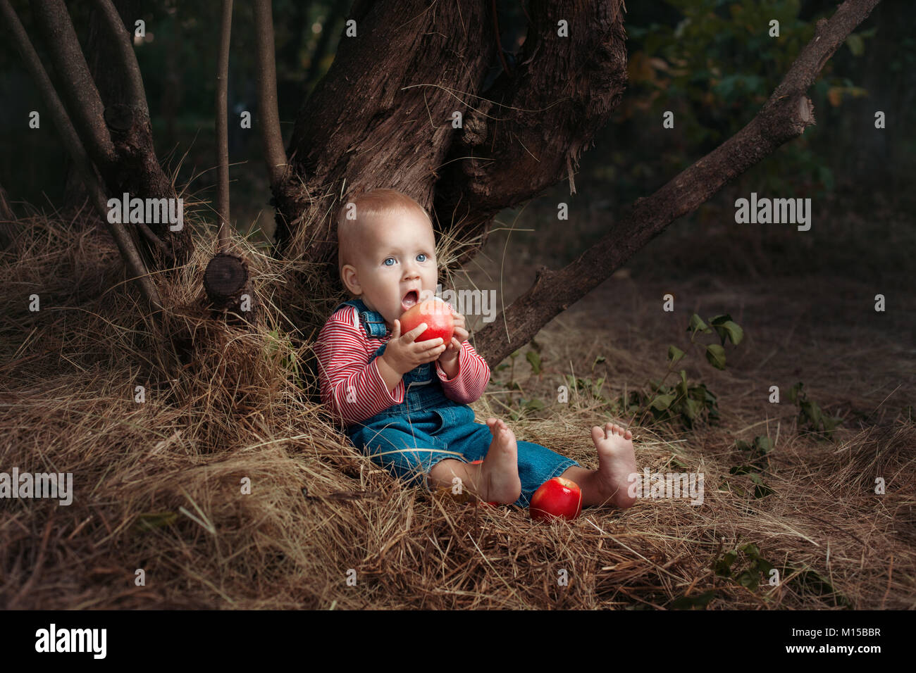 Kleines Mädchen saß unter einem Baum und isst einen Apfel. Stockfoto