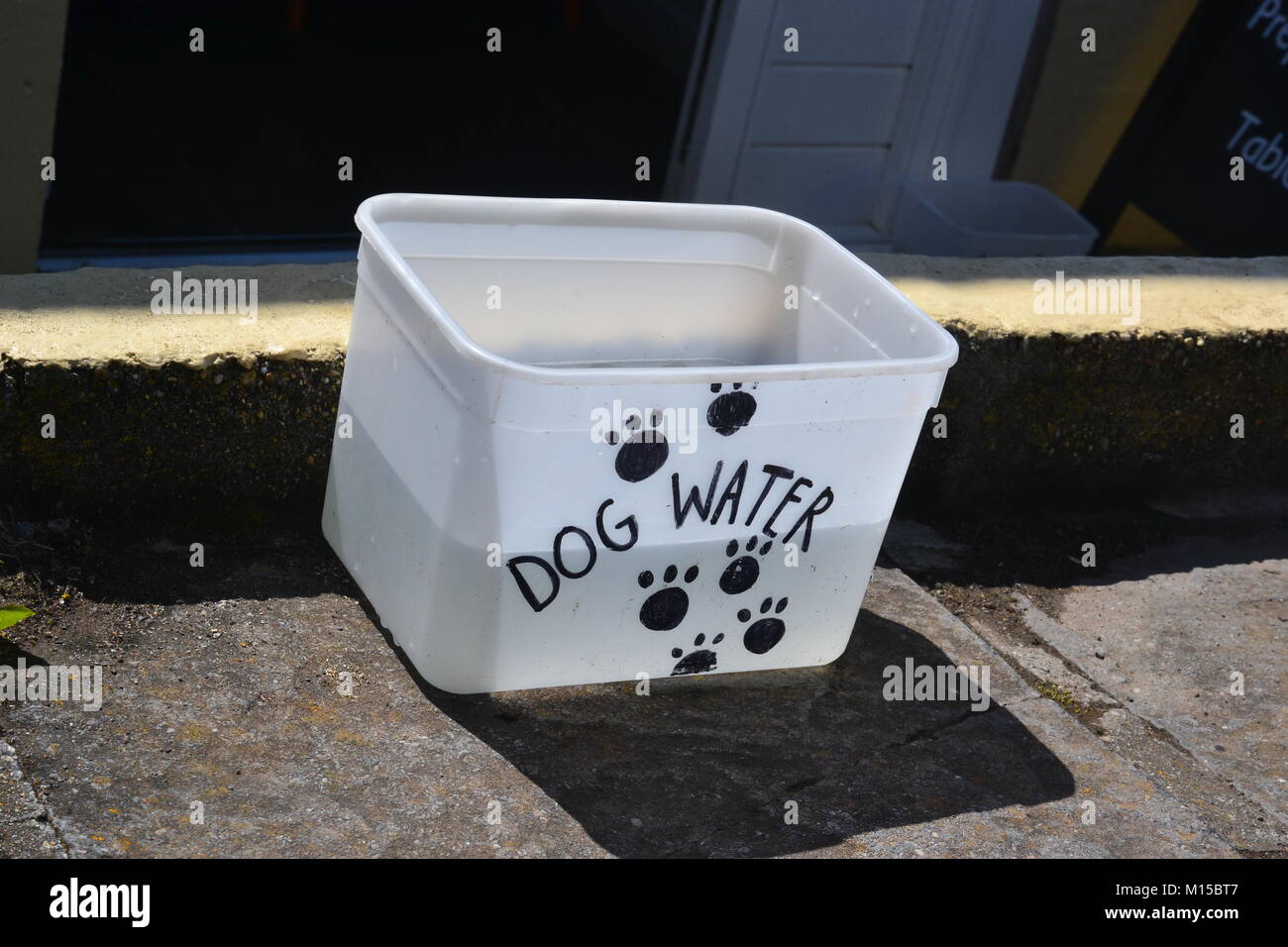 Dog Water Bowl im Café, Lizard Point auf der Lizard Peninsula, Cornwall, England, Großbritannien. Stockfoto