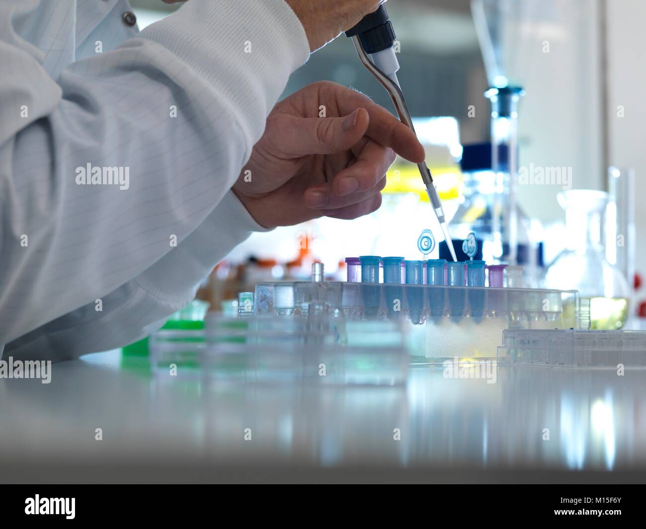 MODEL RELEASED. In der biochemischen Forschung. Wissenschaftler pipettieren Proben in Röhrchen bereit für Tests in einem Labor. Stockfoto