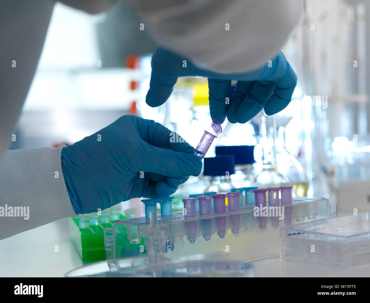 MODEL RELEASED. Die biomedizinische Forschung. Wissenschaftler schließen Sie den Deckel der Durchstichflasche bereit für Tests in einem Labor. Stockfoto