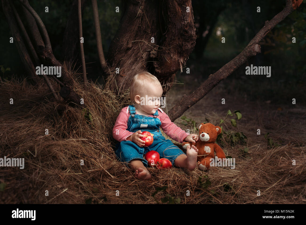 Kleines Mädchen mit Äpfeln und einen Teddybär unter einem Baum sitzen. Stockfoto