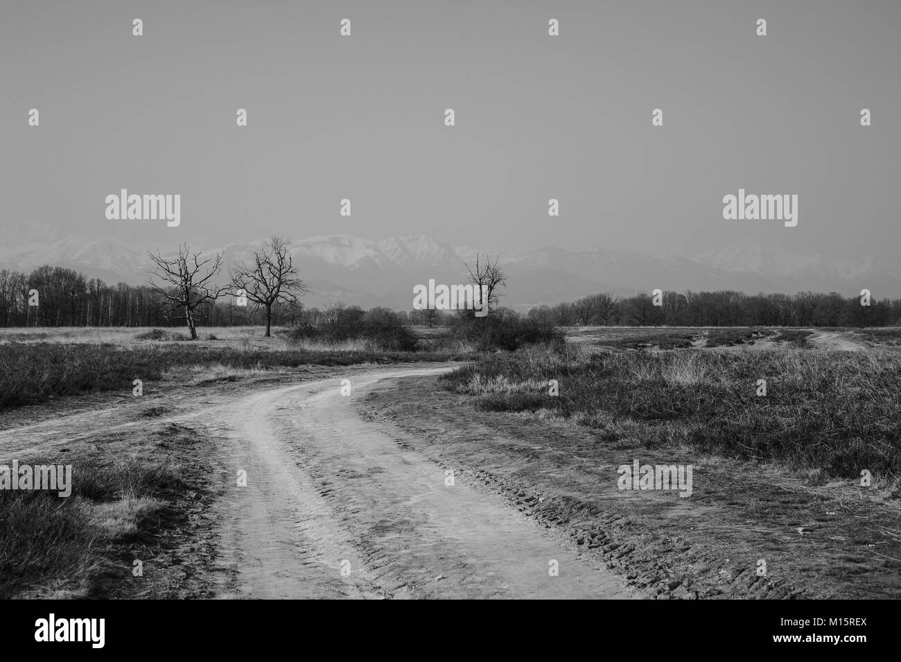 Burcina Park, Biella Stockfoto