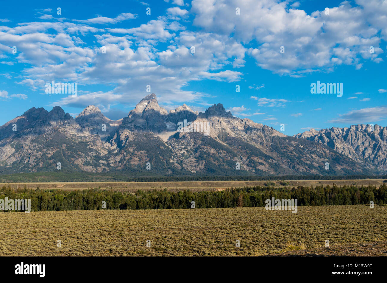 Blick auf die Berge von Teton Glacier View Wahlbeteiligung. Elche, Wyoming USA Stockfoto