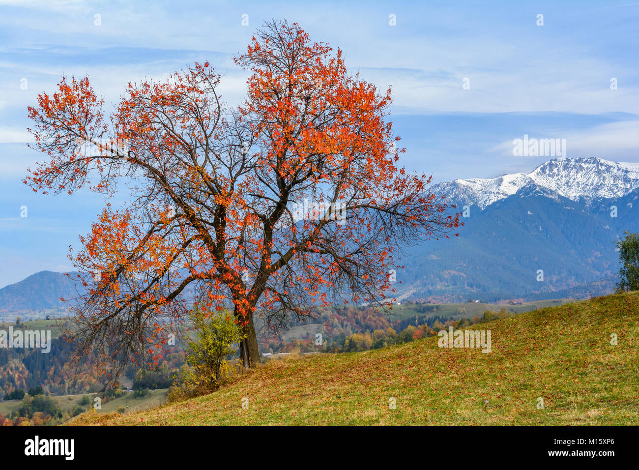 Pestera Dorf, Rumänien: Herbst Landschaft mit dem Bucegi-gebirge im Herbst collors. Stockfoto