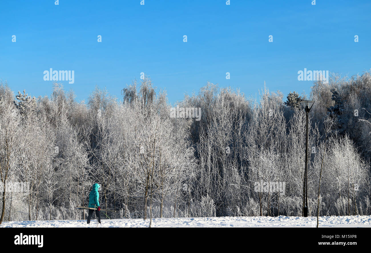 Schönen winter Wald bedeckt mit Schnee und Frost Stockfoto