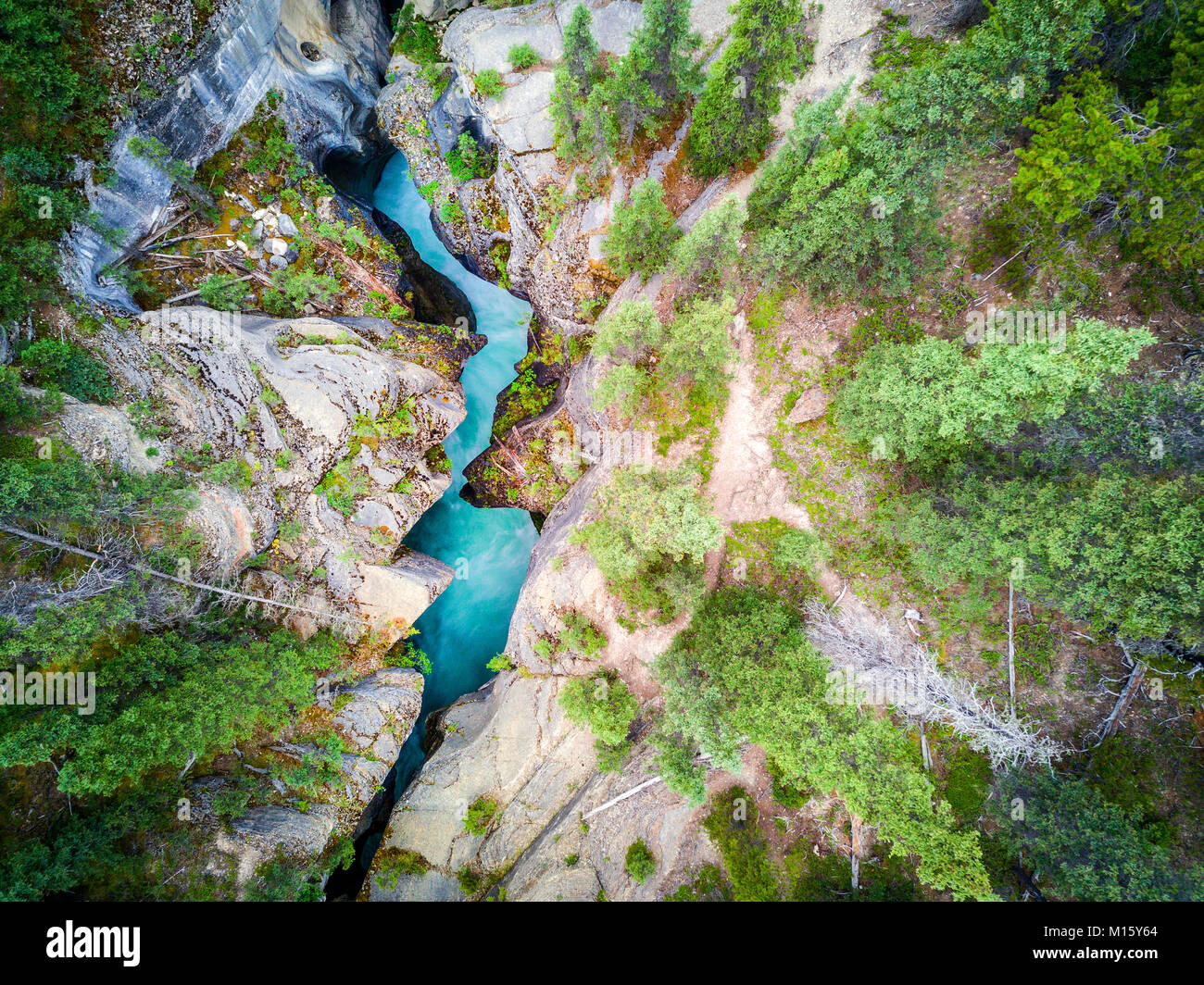 Mistaya Canyon mit sattem Blau Wasser aus eisfeldern, Banff National Park, Alberta, Kanada Stockfoto