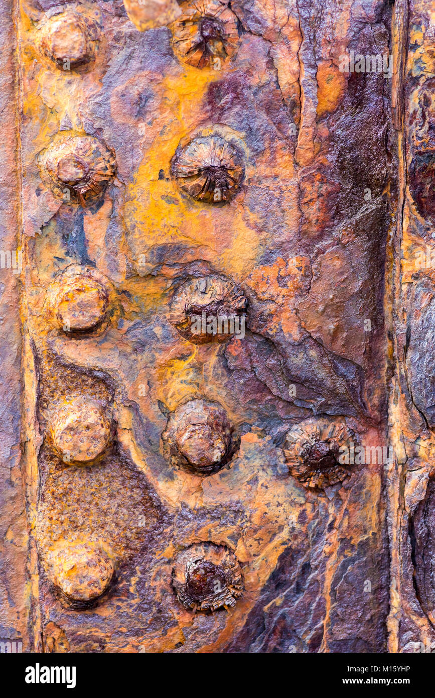 Rostigem Eisen auf einem Schiffswrack, Langanes Peninsula, Austurland, Iceland Þórshöfn, Stockfoto