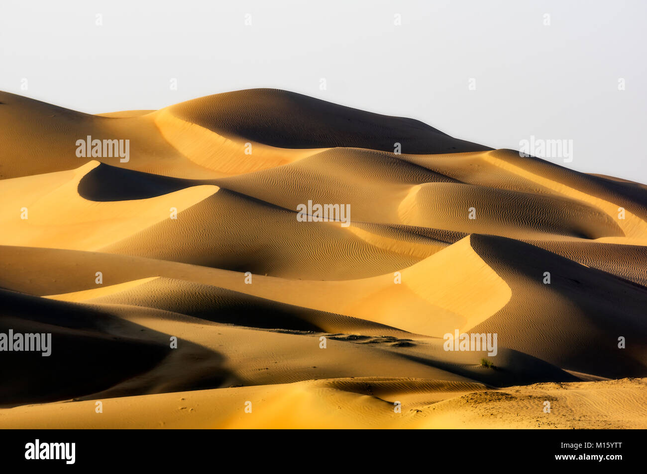 Sanddünen, Liwa Wüste, Abu Dhabi, Vereinigte Arabische Emirate, Naher Osten Stockfoto