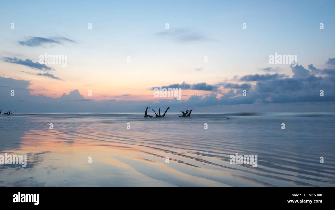 Schönen Meer und Strand mit einer expressiven Himmel und Treibholz und tote Bäume am Strand bei Sonnenaufgang auf dem Boneyard Beach in South Carolina Stockfoto