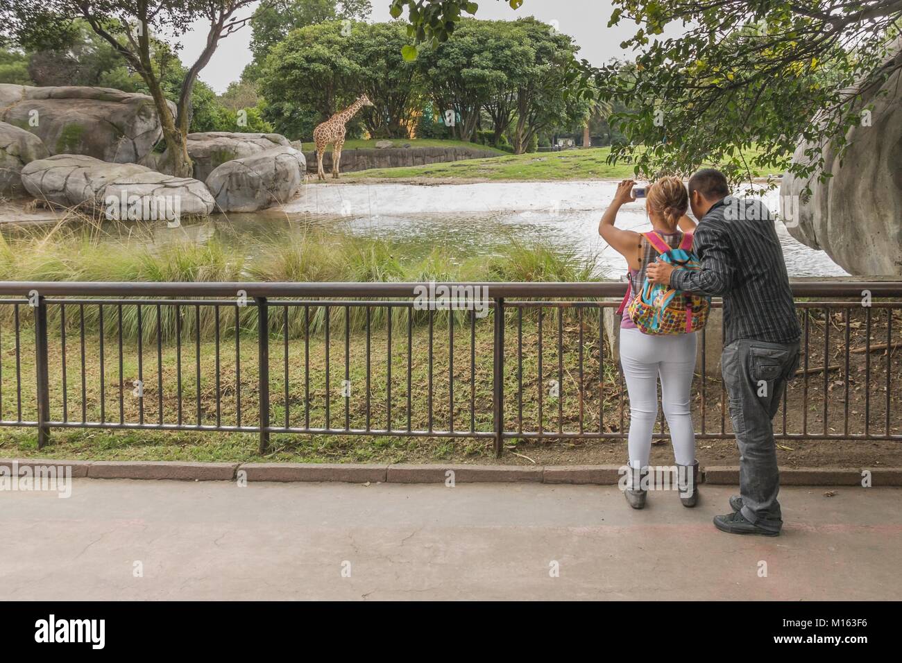 Junges Paar Bilder, die in einem Zoo von Mexiko Stadt. Stockfoto