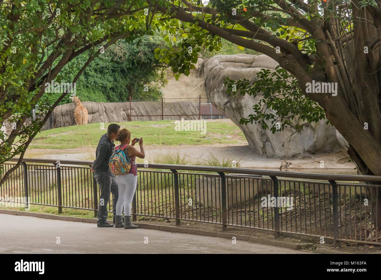 Junges Paar Bilder, die in einem Zoo von Mexiko Stadt. Stockfoto