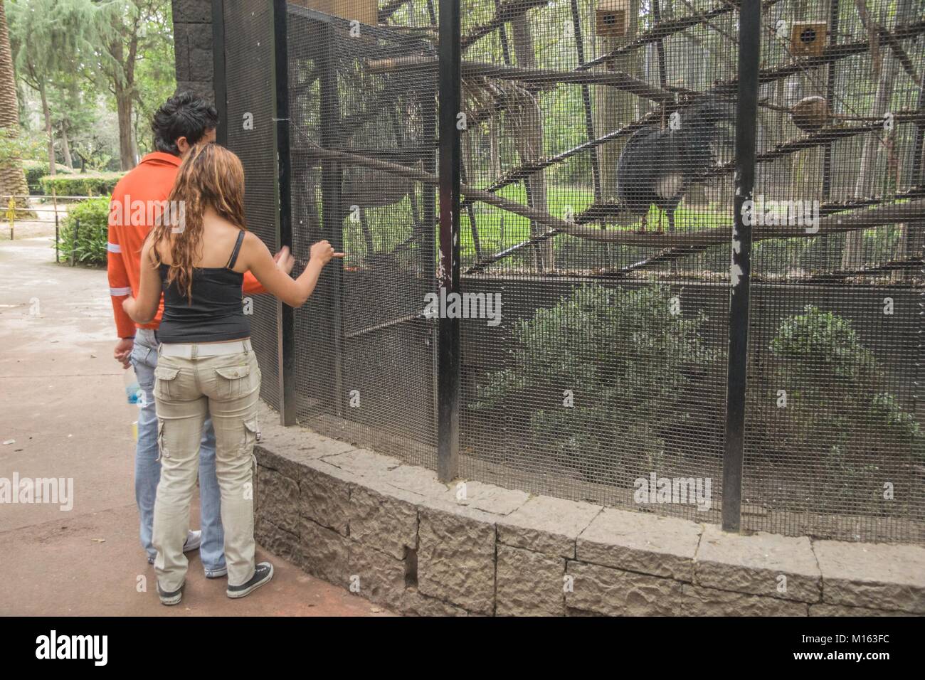 Ein paar der jungen Liebhaber genießen Sie eine Reise in einem Zoo in Mexiko Stadt. Stockfoto