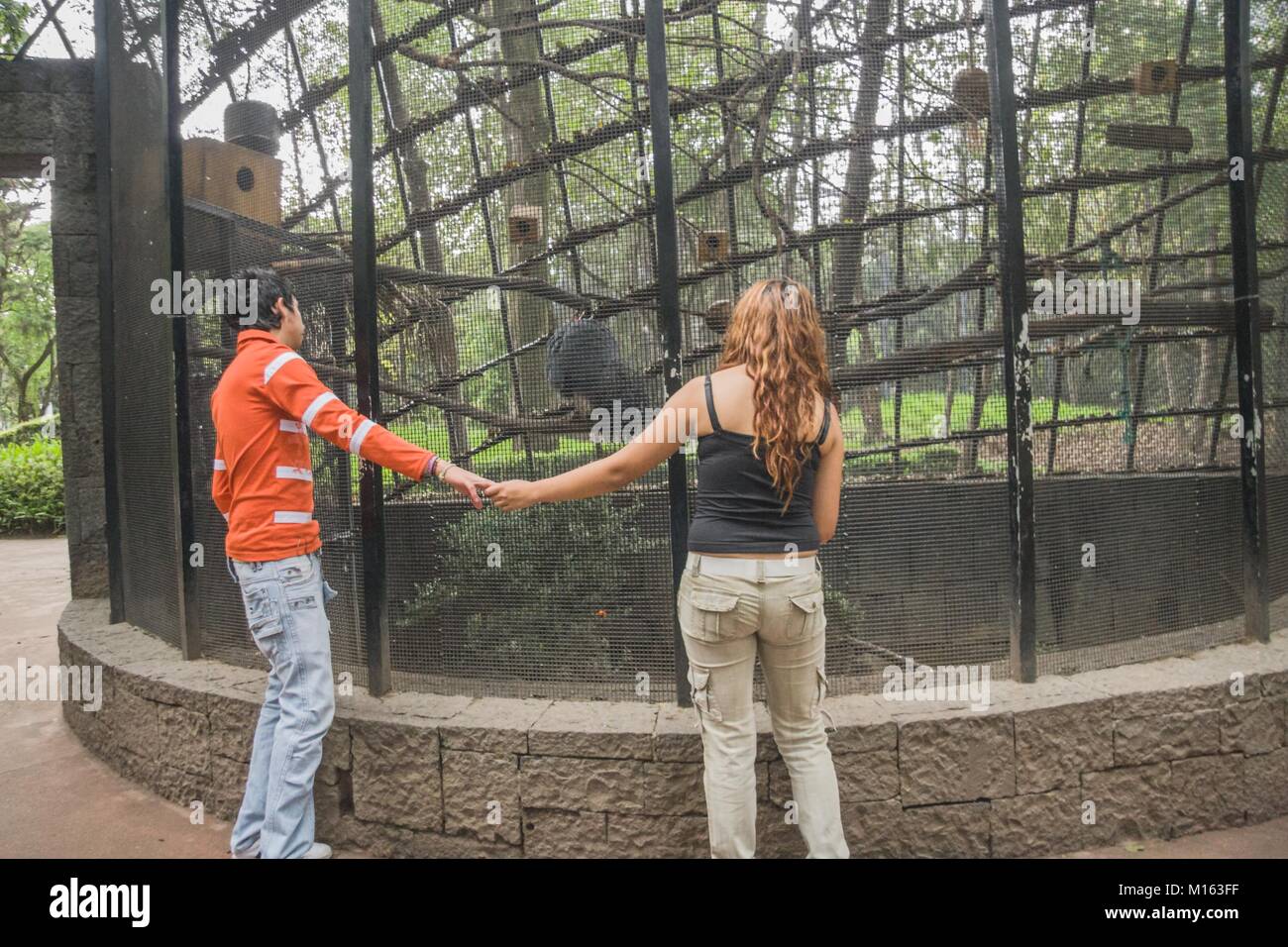 Ein paar der jungen Liebhaber halten Sie Hände und genießen Sie einen Besuch in einem Zoo in Mexiko Stadt. Stockfoto