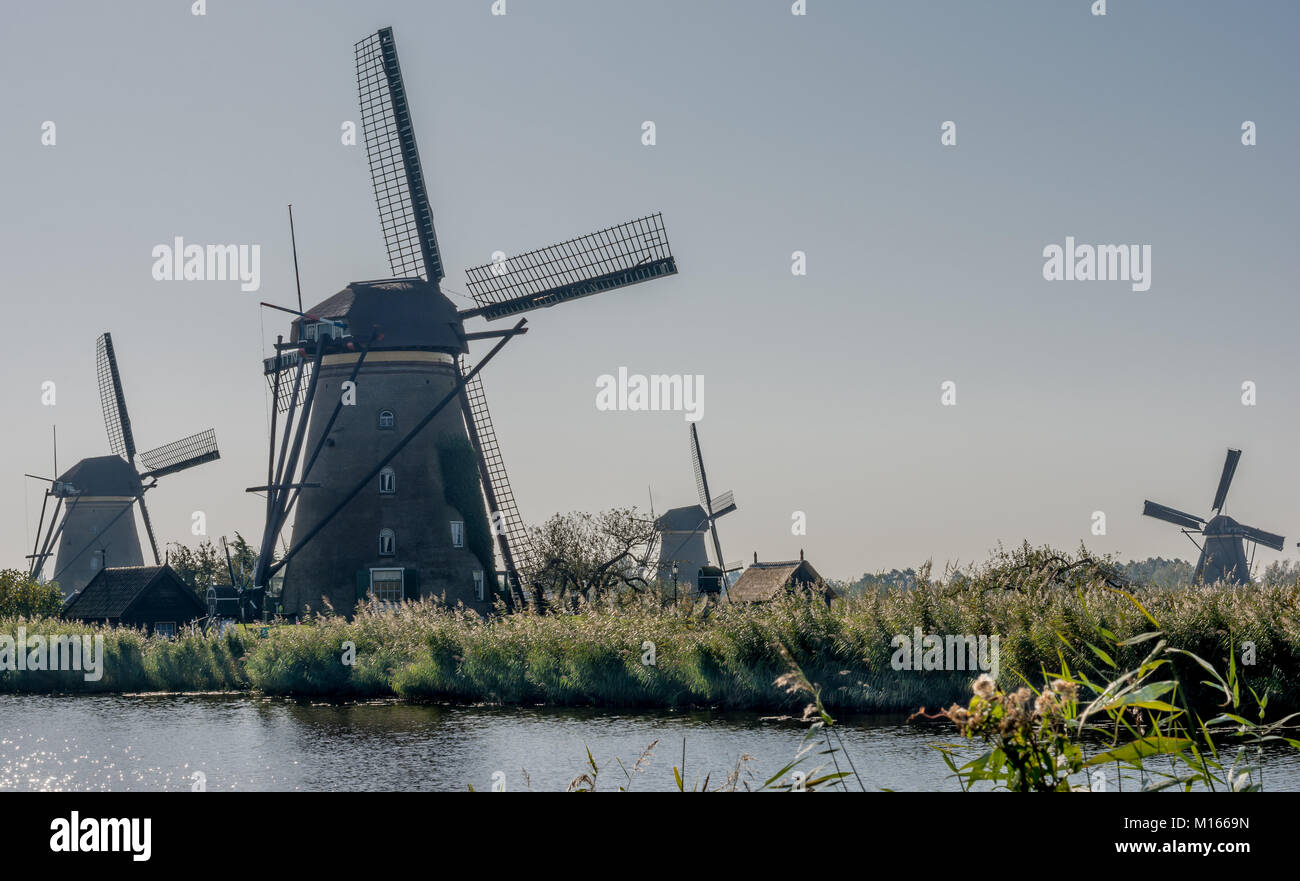 Die Windmühlen von Kinderdijk, Niederlande Stockfoto
